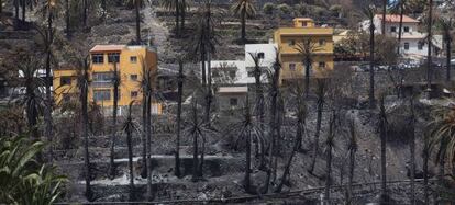 El barranco de Valle Gran Rey, quemado por el fuego en La Gomera.