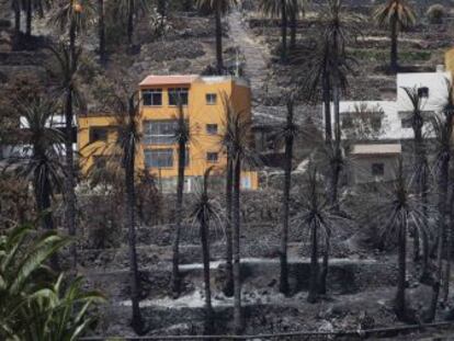 El barranco de Valle Gran Rey, quemado por el fuego en La Gomera.