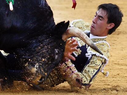 Jiménez Fortes sufre una cogida en la feria de Málaga de 2012.