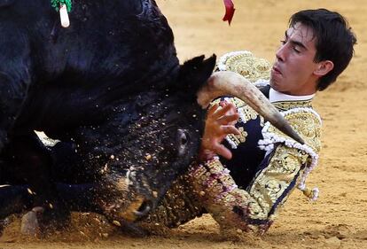 Jiménez Fortes sufre una cogida en la feria de Málaga de 2012.