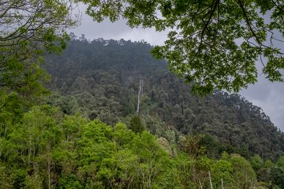 Monserrate perdidos