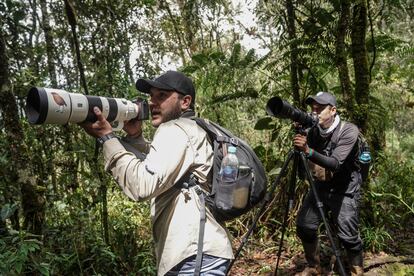 Carlos Arturo Salgado y Andrs Madrid toman fotografas durante la excursin. El 'Monta?erito Paisa' se crea extinto desde hace ms de 40 a?os hasta que fue registrado nuevamente en 2019.