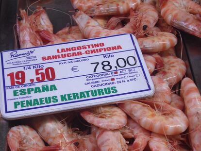 Mariscos con indicación de origen