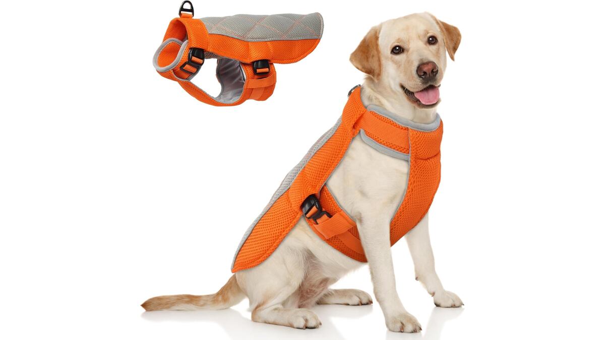 Cooling vest.