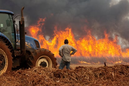 FILE PHOTO: Un hombre observa el fuego consumir una plantación de caña de azúcar cerca de la ciudad de Dumon, en Brasil, en agosto de 2024. 