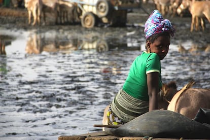 En los últimos años, la falta de agua y el aumento del precio de la comida ha dificultado aún más la vida en el Sahel.