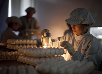Trabajadoras de Sinovac Biotech prueban vacunas contra la nueva gripe en huevos de gallina.