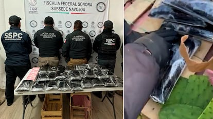 Elementos de seguridad posan con la incautacin de 32 kilos de pastillas de fentanilo ocultos en un cargamento de nopales, este mircoles en el Estado de Sonora.