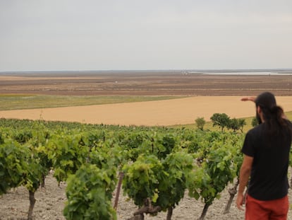 Pepe Núñez Cabral, presidente de la asociación ecologista Río Limpio, frente a la zona de Trebujena dónde se prevé la construcción de la macrourbanización. Al fondo el río Guadalquivir y Doñana.