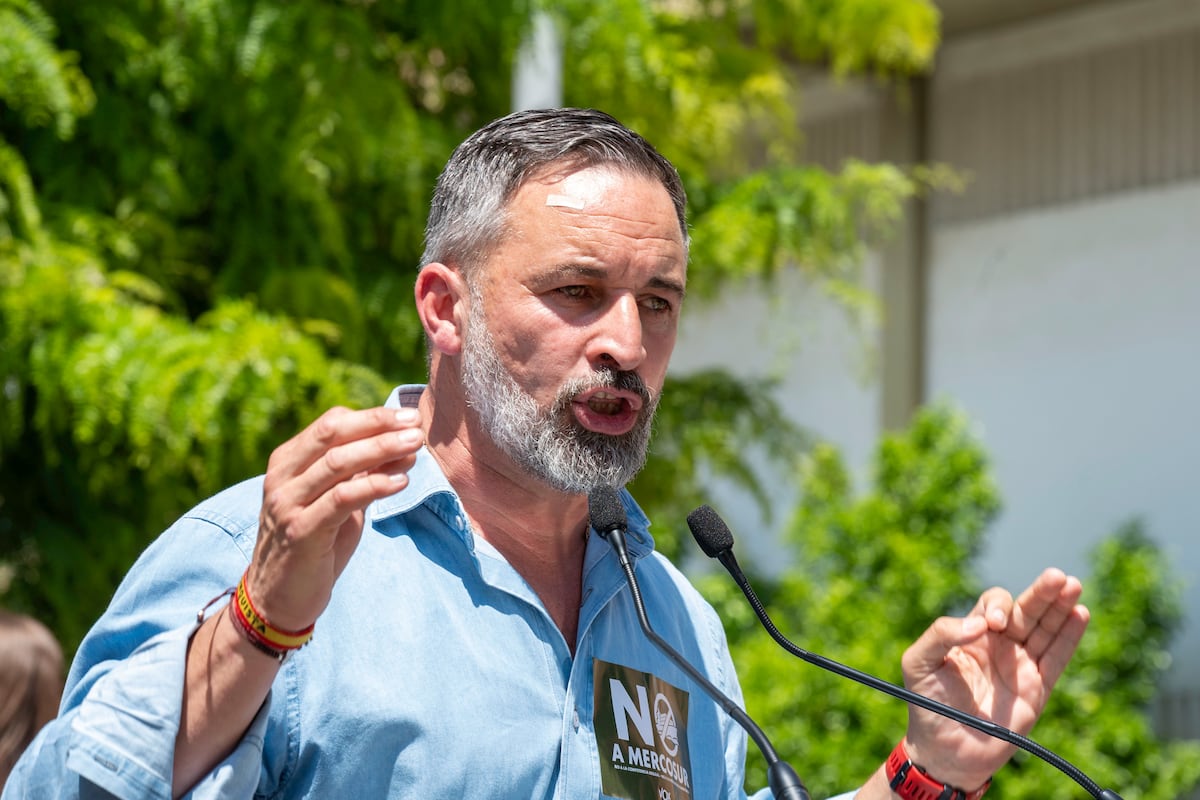 Vox confirma su tendencia a la baja y pierde casi un punto de estimación de voto en...