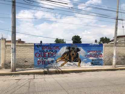 Mural en recuerdo de 'Scooby', el perro que fue arrojado a un cazo de aceite hirviendo.