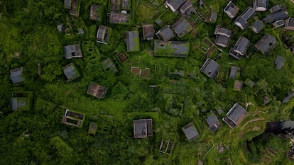 Vista aérea de un grupo de viviendas abandonadas y cubiertas de vegatación en Houtouwan en la isla china de Shengshan.