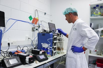 Un biotecnólogo de la empresa MOA Foodtech monitoriza el proceso de fermentación para transformar residuos en proteína con ayuda de inteligencia artificial.