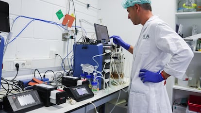 Un biotecnólogo de la empresa MOA Foodtech monitoriza el proceso de fermentación para transformar residuos en proteína con ayuda de inteligencia artificial.