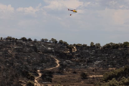 Un helicóptero de los bomberos apaga el fuego cerca en el nucleo de Coscó, este miércoles.