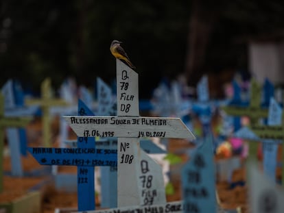 Tumbas de pessoas mortas por covid-19 no cemitério de Nossa Senhora Aparecida, em Manaus (AM), no dia 1 de março.