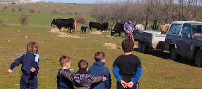 Un grupo de ni&ntilde;os mira a un agricultor en Cabanillas del Monte (Segovia).