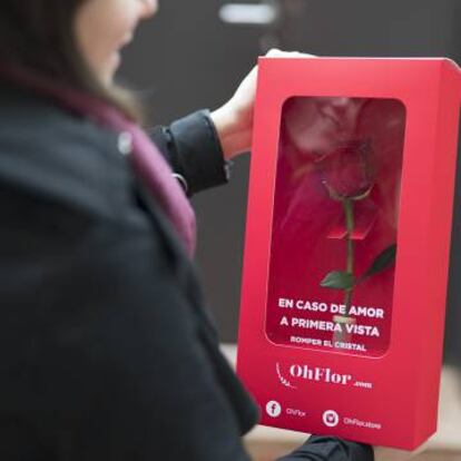 Rosa para San Valentín de OhFlor.