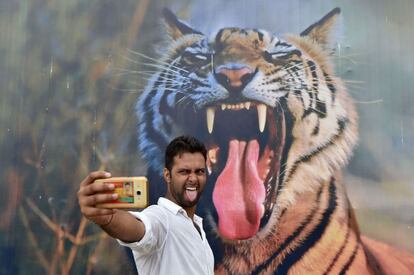 TOPSHOT - An Indian visitor poses for a photograph in front of a picture of a tiger displayed on the last day of the 'Bharat Parav' festival at the India Gate lawns in New Delhi on August 18, 2016.

The Bharat Parv festival, organised as a part of celebrations of Independence Day, runs from 12 - 18 August in New Delhi. / AFP PHOTO / SAJJAD HUSSAIN