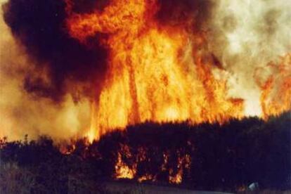 Incendio en el paraje de Montealegre, cerca de la ciudad de Ourense, en el verano de 2000.