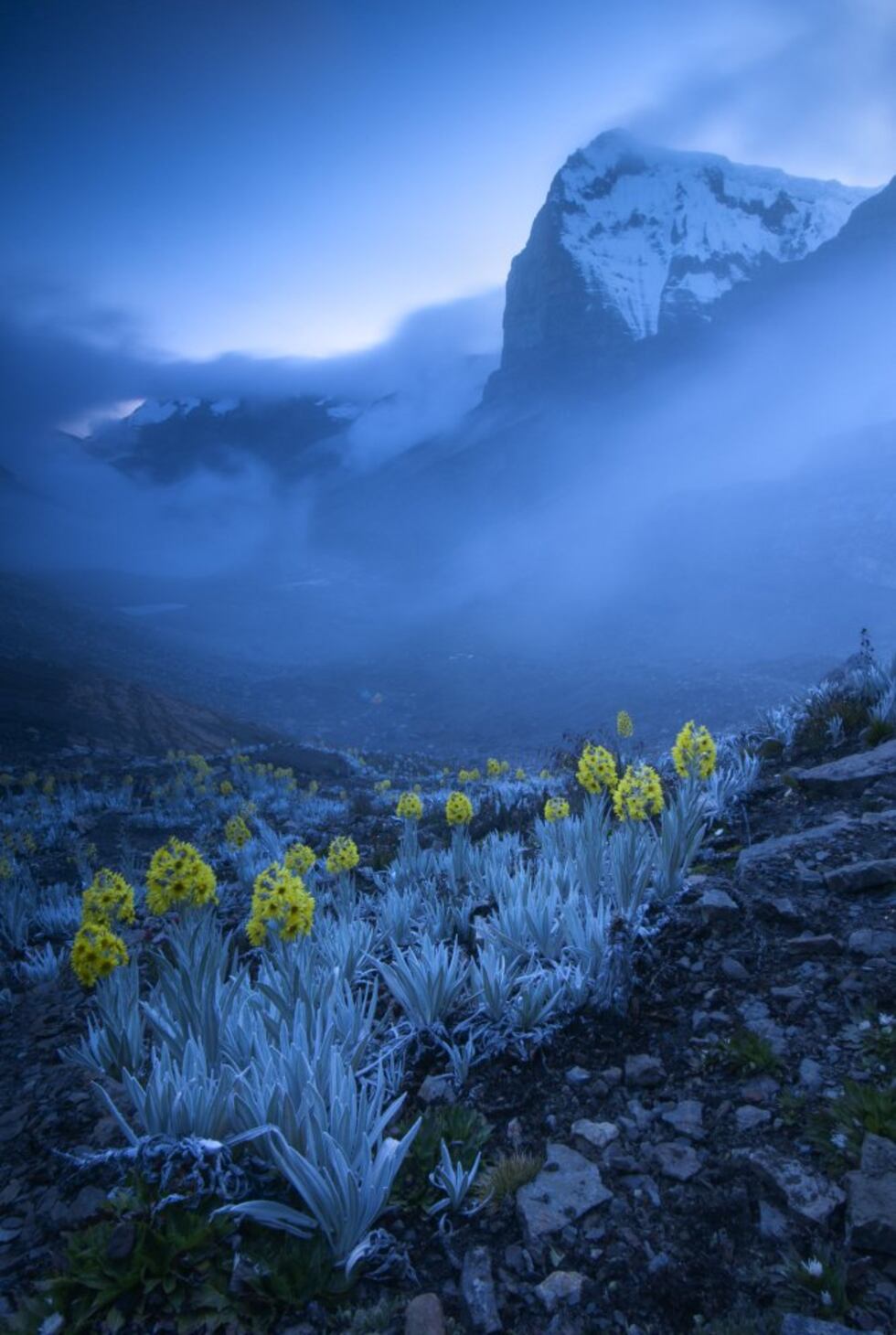 Los ganadores del ‘Wildlife Photographer of the Year’ | Fotos | Los ...