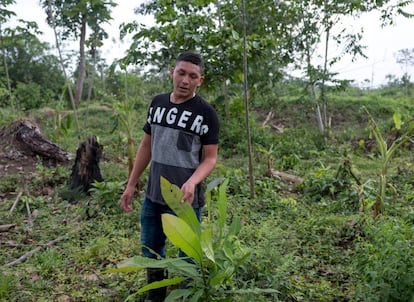 Ramón Bedoya, en la tierra de su familia (Colombia).