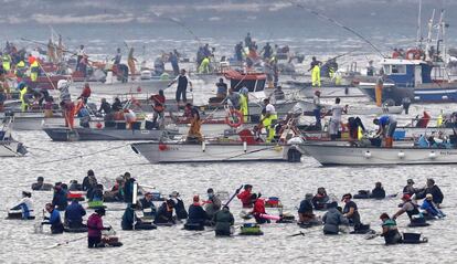 Centenares de mariscadores, a pie y en barco, faenan esta mañana en Testal (A Coruña), en el primer día de la campaña marisquera en la Ría de Muros-Noia, un sector económico principal de la zona.