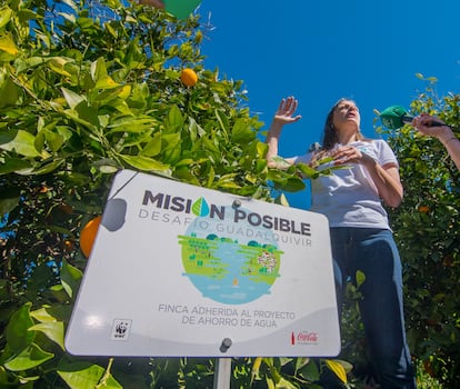 Letrero del proyecto medioambiental que lleva a cabo Coca-Cola en Sevilla.