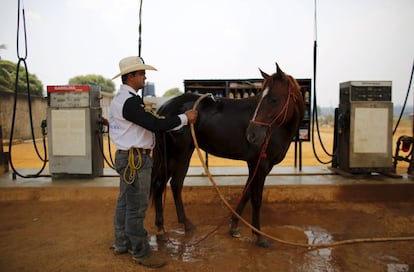 Amilton cools off his horse at a petrol station in Rio Pardo next to Bom Futuro National Forest, in the district of Porto Velho, Rondonia State, Brazil, August 30, 2015. The town of Rio Pardo, a settlement of about 4,000 people in the Amazon rainforest, rises where only jungle stood less than a quarter of a century ago. Loggers first cleared the forest followed by ranchers and farmers, then small merchants and prospectors. Brazil's government has stated a goal of eliminating illegal deforestation, but enforcing the law in remote corners like Rio Pardo is far from easy. REUTERS/Nacho DocePICTURE 20 OF 40 FOR WIDER IMAGE STORY "EARTHPRINTS: RIO PARDO" SEARCH"EARTHPRINTS PARDO" FOR ALL IMAGES