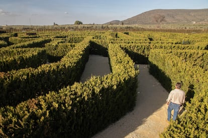 Laberinto vegetal de Malaga