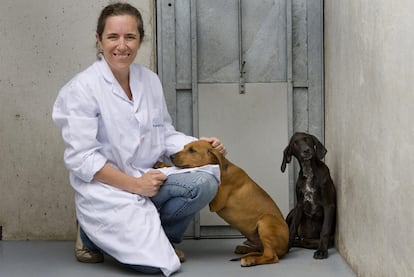 Mara Jos Montes Martn, directora adjunta del Centro Municipal de Proteccin de Animales, con dos cachorros de perro.