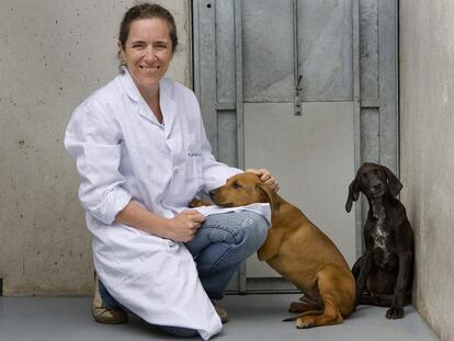María José Montes Martín, directora adjunta del Centro Municipal de Protección de Animales, con dos cachorros de perro.
