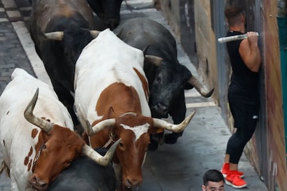 Uno de los mozos se aparta del trayecto de los toros de la ganadería de Miura, este lunes.