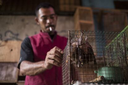 Un vendedor de Pramuka exhibe los murciélagos que vende y que, según explica, son buenos si se ingieren para curar el asma.