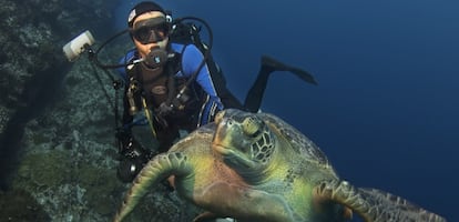 El biólogo Enric Sala bucea junto a una tortuga marina.