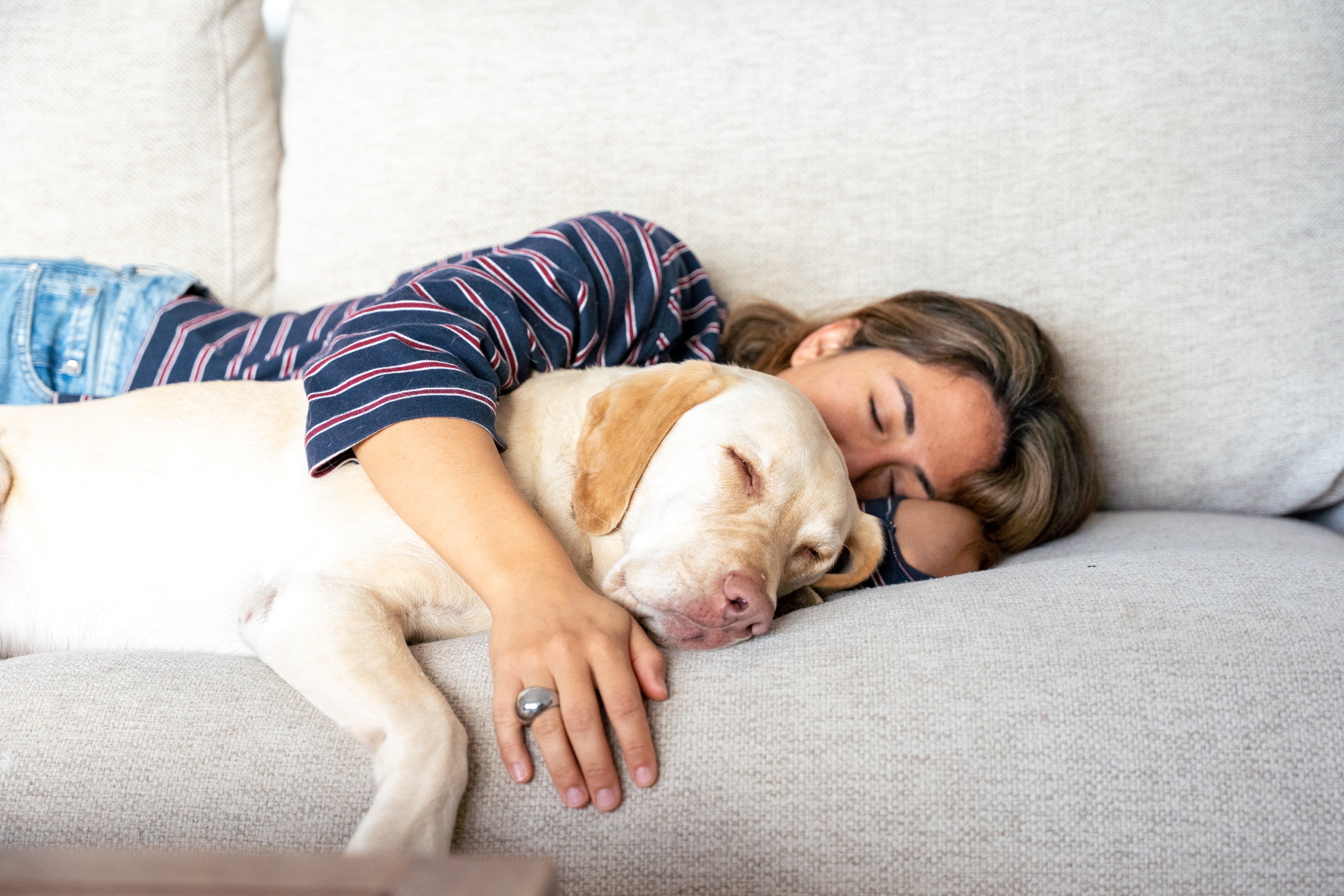 Beneficios y riesgos de dormir con tu mascota: de la sensación de seguridad a la pérdida de calidad del sueño