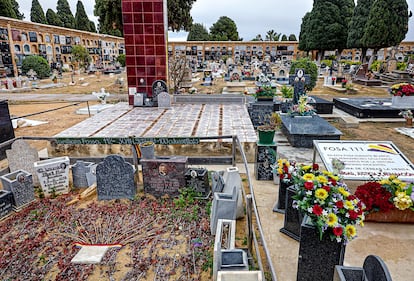 Fosas exhumadas del cementerio de Paterna, muy cerca del cual fueron fusiladas 2.238 personas en la posguerra en un muro, denominado Paredón de España. 