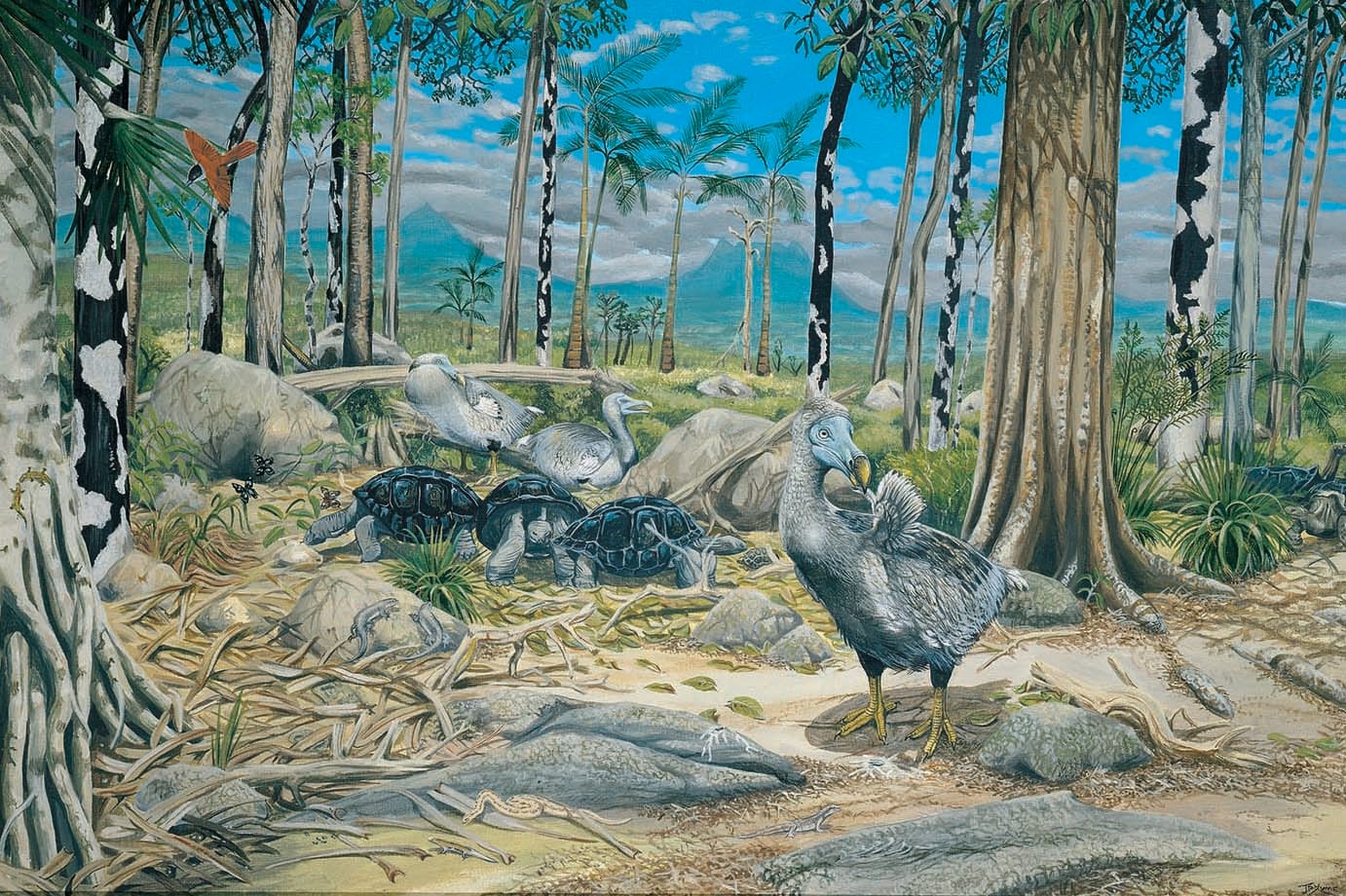 Escena de bosque seco que muestra el hábitat en el que vivía el dodo junto con otras especies autóctonas de la isla Mauricio. 