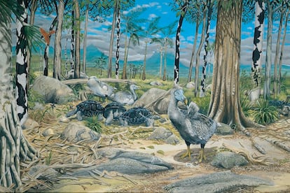 A dry forest scene showing the habitat in which the dodo lived, alongside other species native to Mauritius.