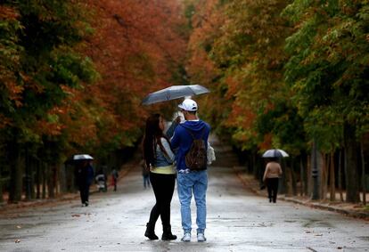 La caída otoñal de las hojas se retrasa más en los parques urbanos como en el Retiro de Madrid.