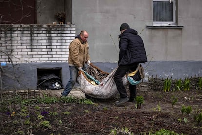 Dos hombres cargan en una alfombra el cuerpo de un civil enterrado en el patio de su casa, en Gostomel. La retirada de las tropas rusas de los alrededores de Kiev para concentrar su ofensiva en el sur y este de Ucrania no solo ha dejado imágenes de civiles muertos y edificios bombardeados, sino también un aumento de las denuncias de violencia sexual contra las mujeres.