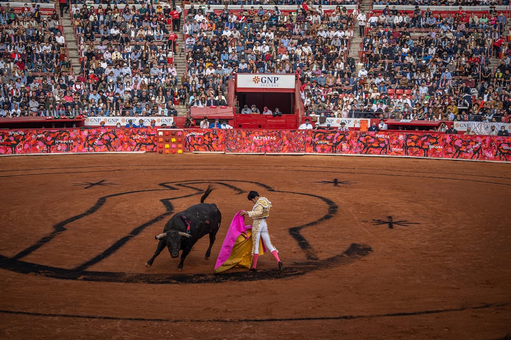 La Suprema Corte avala el regreso de las corridas de toros a la Plaza ...