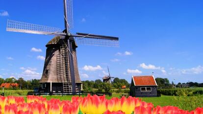 Holanda: el gran beneficiado de la globalización