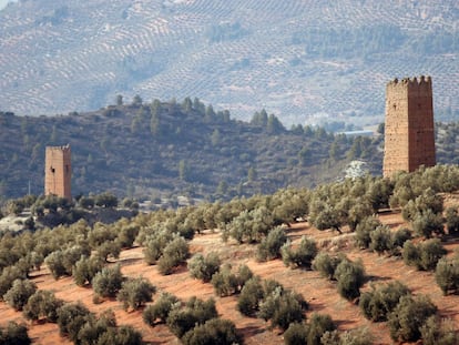 Cata de aceite de oliva en Jaén: ¿por qué nos tienen engañados?