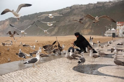 Una mujer da de comer a las gaviotas en Nazaré (Portugal).