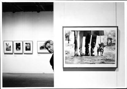 Elliot Erwitt con su imagen de perros más famosa, en una exhibición el 29 de noviembre de 1994.