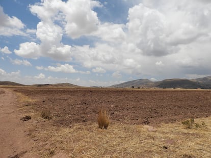 La aynoca o terreno comunitario, listo para recibir las semillas, en Tiahuanacu, Estado de Tiahuanacota, Bolivia.