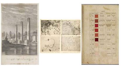 Documentos Darwin