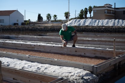 Primera cosecha de sal producida por los ecologistas de Murcia.