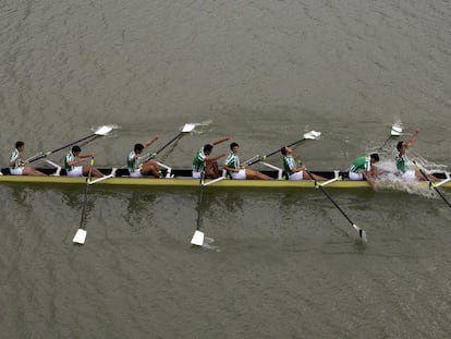 El Betis gana la regata en la dársena del Guadalquivir